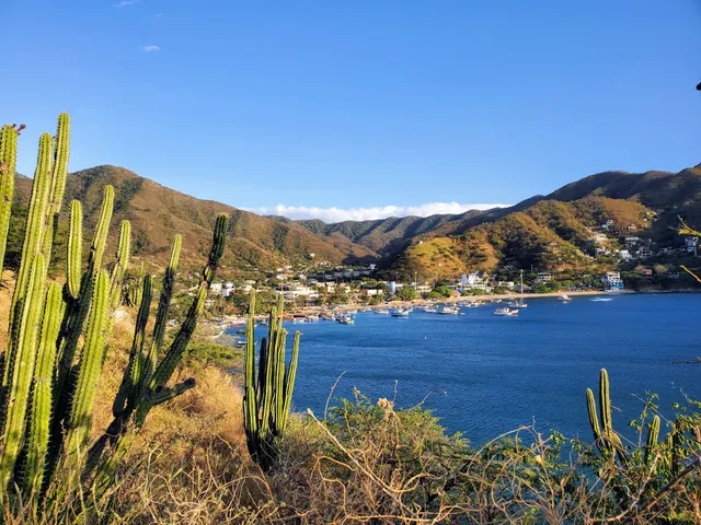 Taganga