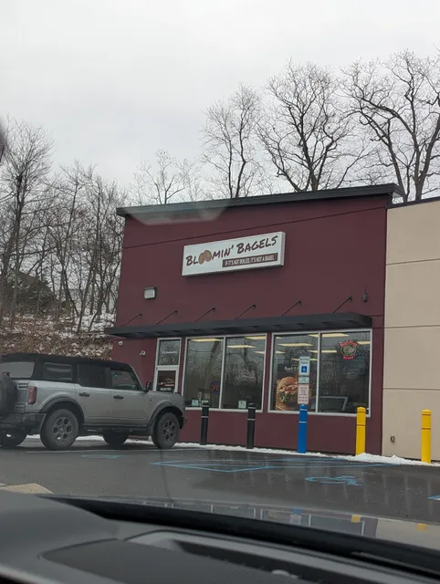 Bloomin' Bagels of Mountain Top