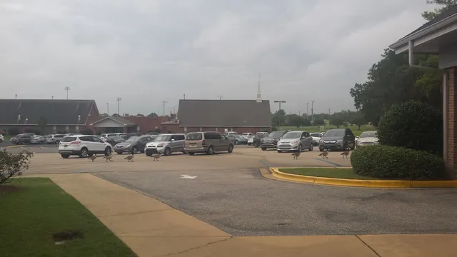 First Christian Church