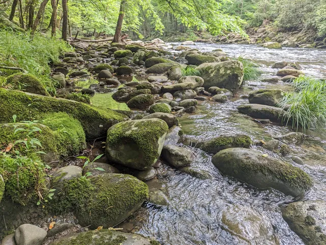 Sugarland Valley Nature Trail Head