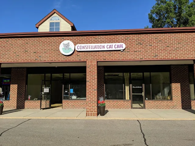 Constellation Cat Cafe