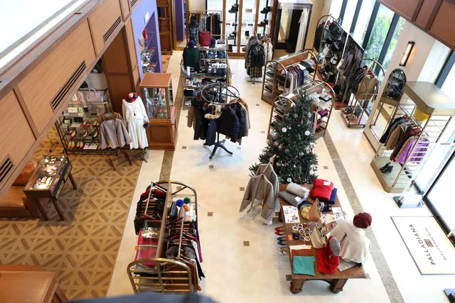 ブルーコムブルー - PALLADIANA