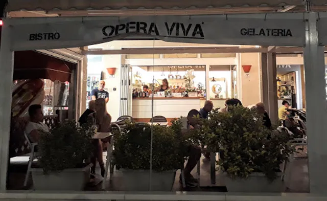 Opera Viva