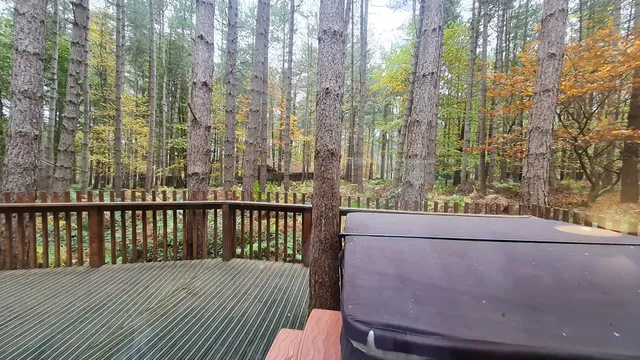 Forest Holidays Sherwood Forest