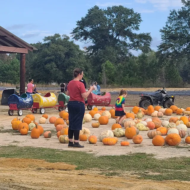 Third Day Farm and Ranch