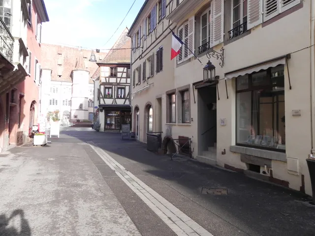 Au Petit Nid d'Alsace - Gîtes Le Colombier, Gîte Les Tourterelles & Gîte Le Caveau Sélestat (Europa Park, Route des vins)