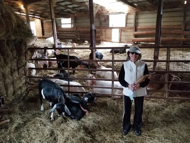 Side Hill Acres Goat Farm