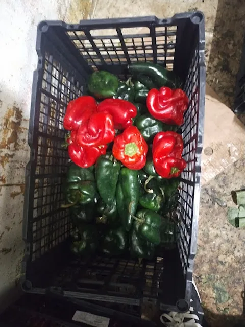 Shanti Jamaican Restaurant