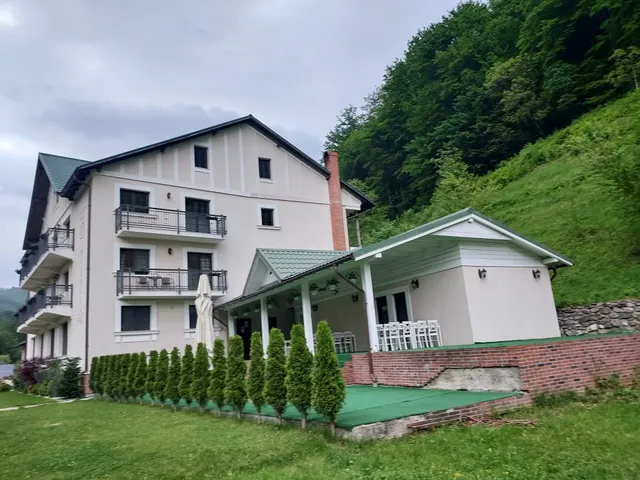 Pensiunea Dimitrios Herculane