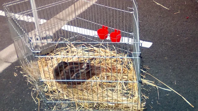 Springtown Business Park