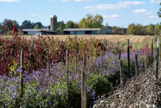 Shady Acres Farm Ohio