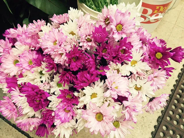 Steele-Cooter Flower Gift & Boutique