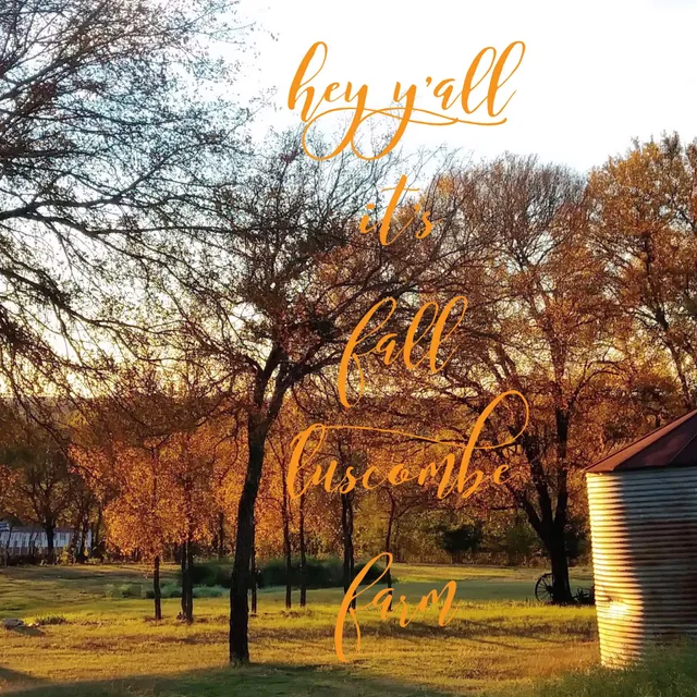 Luscombe Farm Specialty Food Store