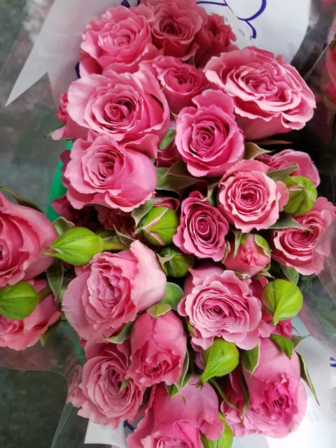 The Blossom Flower Wholesale