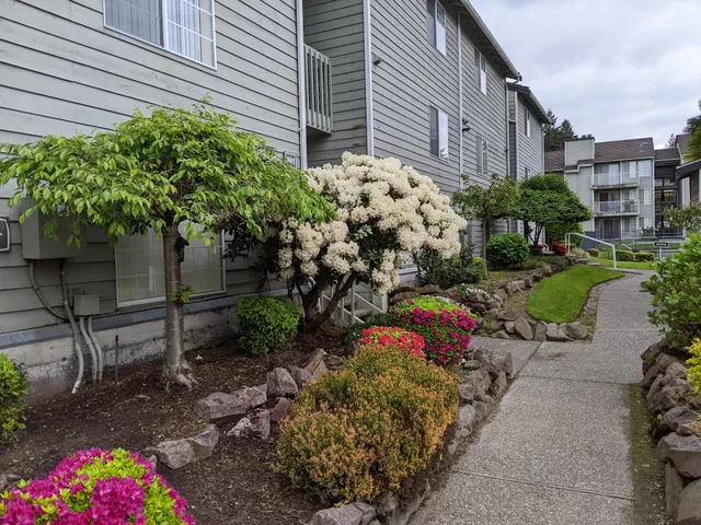 Sammamish Beach Club Apartments