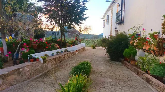 Vivienda Rural "Las Viñas"