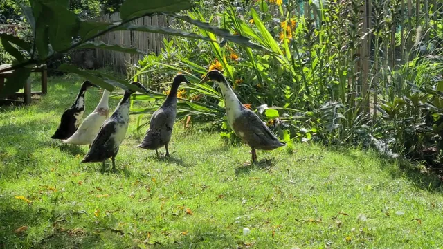 Ferienwohnung Antje Kopplow & Henning Fröhlich