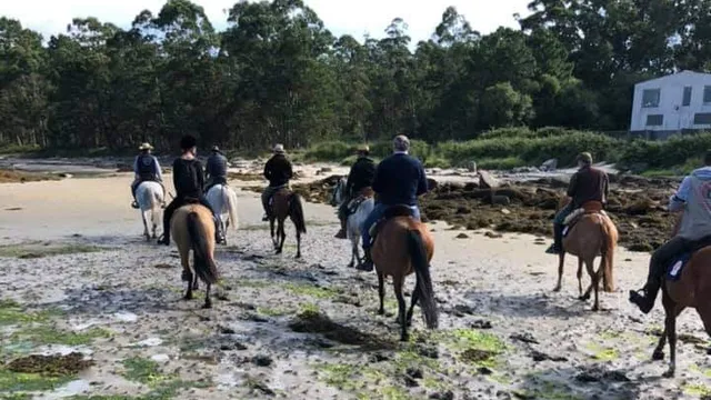 Camino de Santiago a Caballo