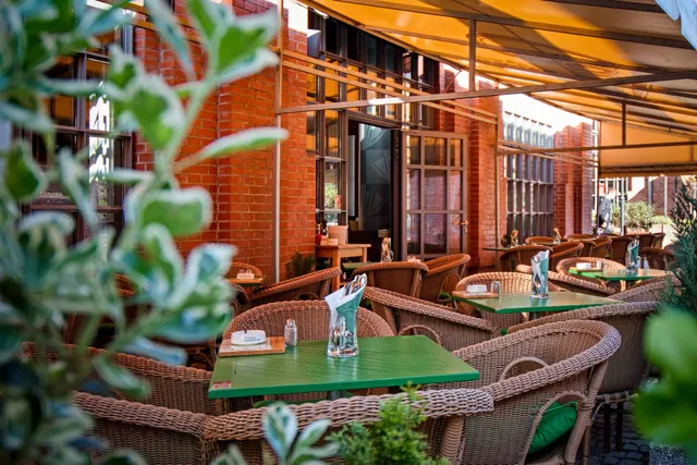 Potrefená husa Vaňkovka