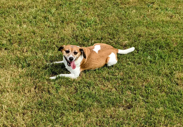 Rocky Runway Municipal Park
