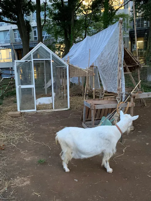 Tokyo University of the Arts, Toride Campus