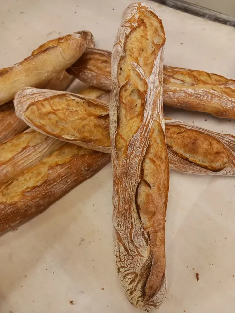 Maison des délices et des saveurs. NYS.