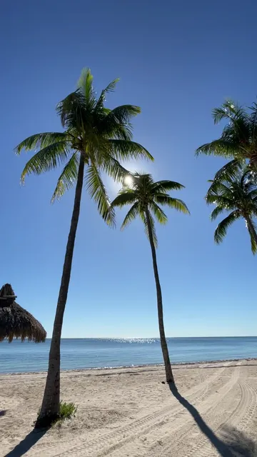 Swimming Beach with Lifeguards