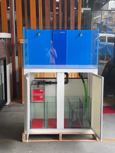 魚樂家-金魚專門店