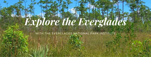 Everglades National Park Institute