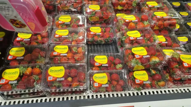 Jordan Lane Shopping Center