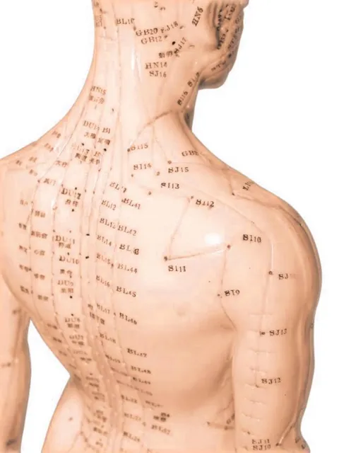 Eileen Chan Wellness