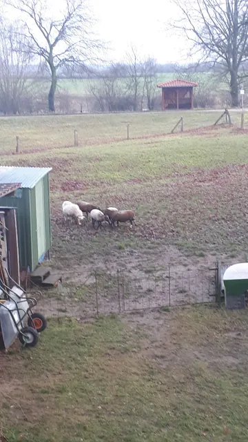 Ferienwohnung JAGODA in der Lüneburger Heide