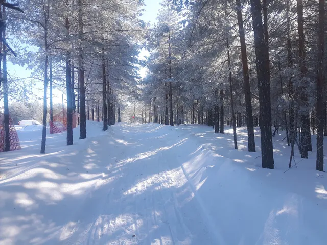 Apartments Nedeljković