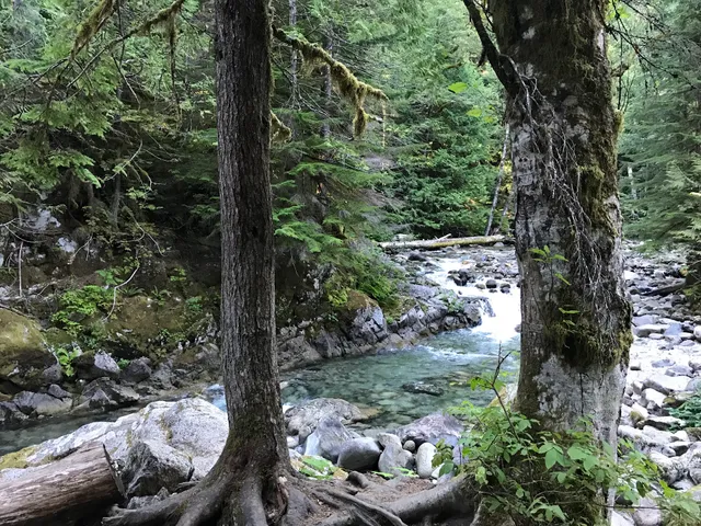 Snoqualmie National Forest