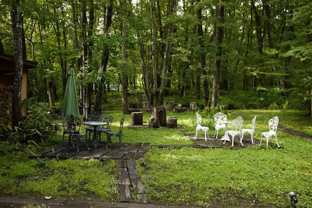 Morinonakanoresu Codow