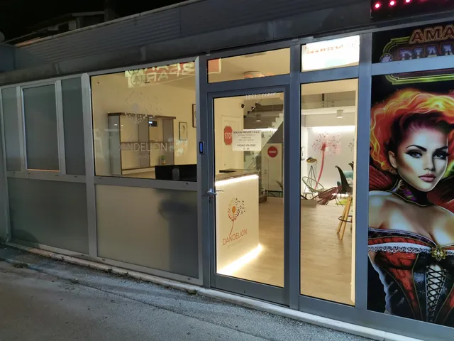 Dandelion Boutique Hostel