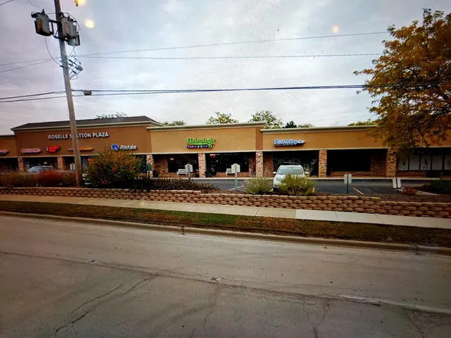 Roselle Station Plaza