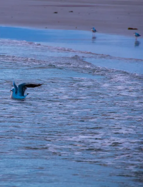 Al Khaluf Restarea إستراحة الخلوف