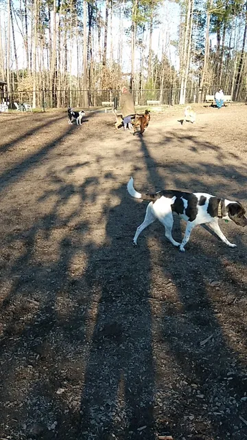 Southern Community Dog Park