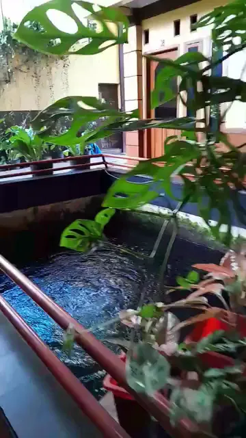 closed prop - inactive