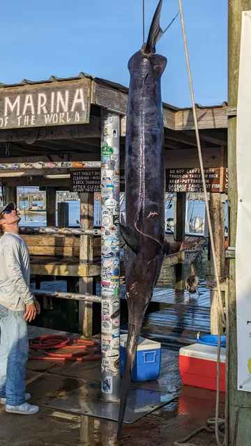 REEL Therapy Houseboat Rentals