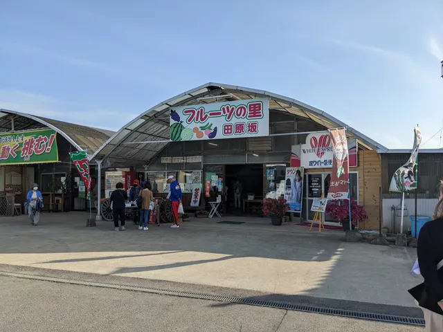 フルーツの里 田原坂 / 熊本県産の厳選フルーツ･野菜を全国へお届けします