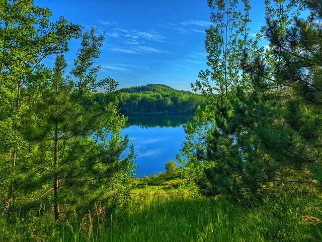Judson Mine Disc Golf Course