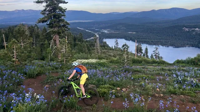 Donner Lake Rim Trail Trailhead - Bermgarten
