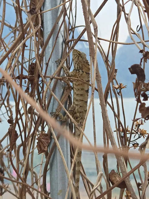 深圳龙华人才市场龙华三和人才市场