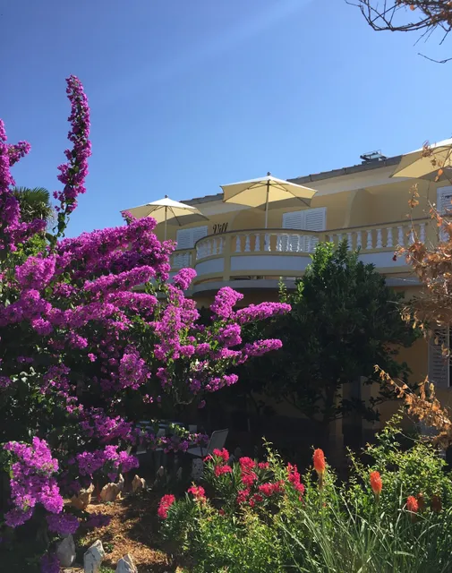 Apartments and Rooms Villa Luci