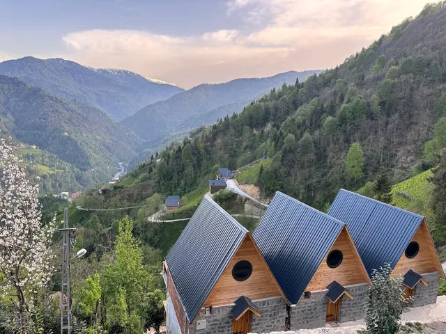 Arvilla Dağ Evleri