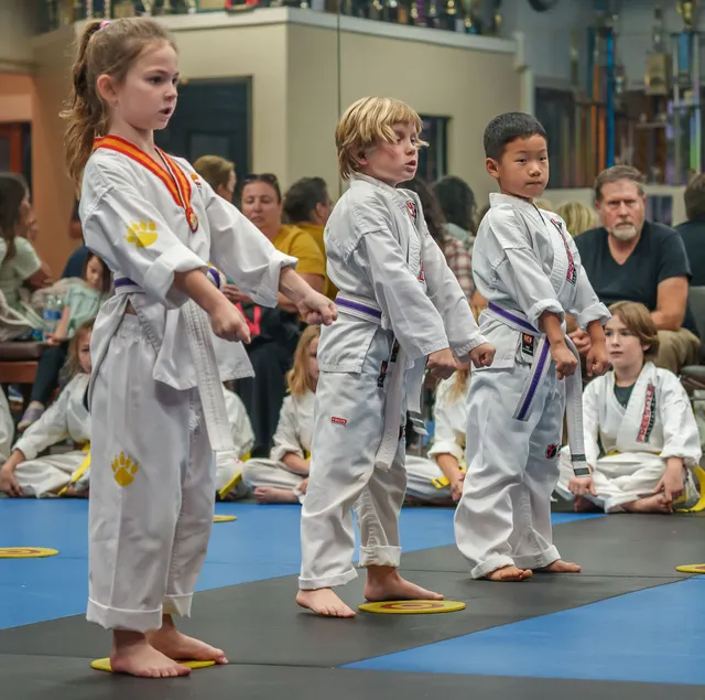 Freestyle Martial Arts