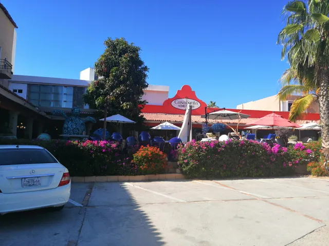 Casa Bonita Home Decor & Living