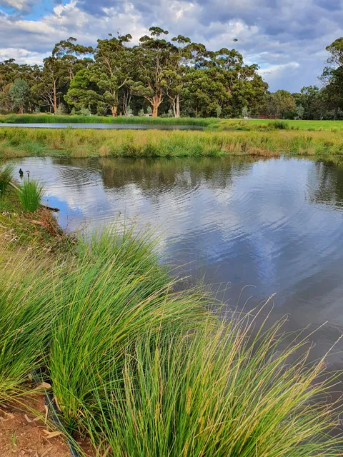 Victoria Park (Park 16)